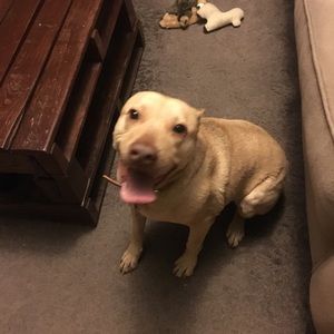 Meet your Posher, Jason